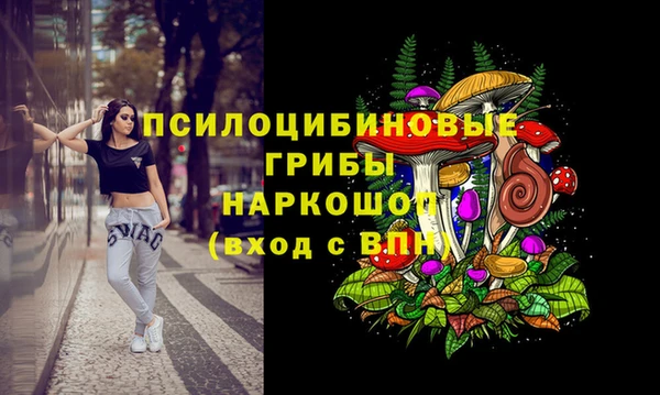 герыч Лагань