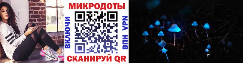 дарнет шоп  Медвежьегорск  Галлюциногенные грибы GOLDEN TEACHER 